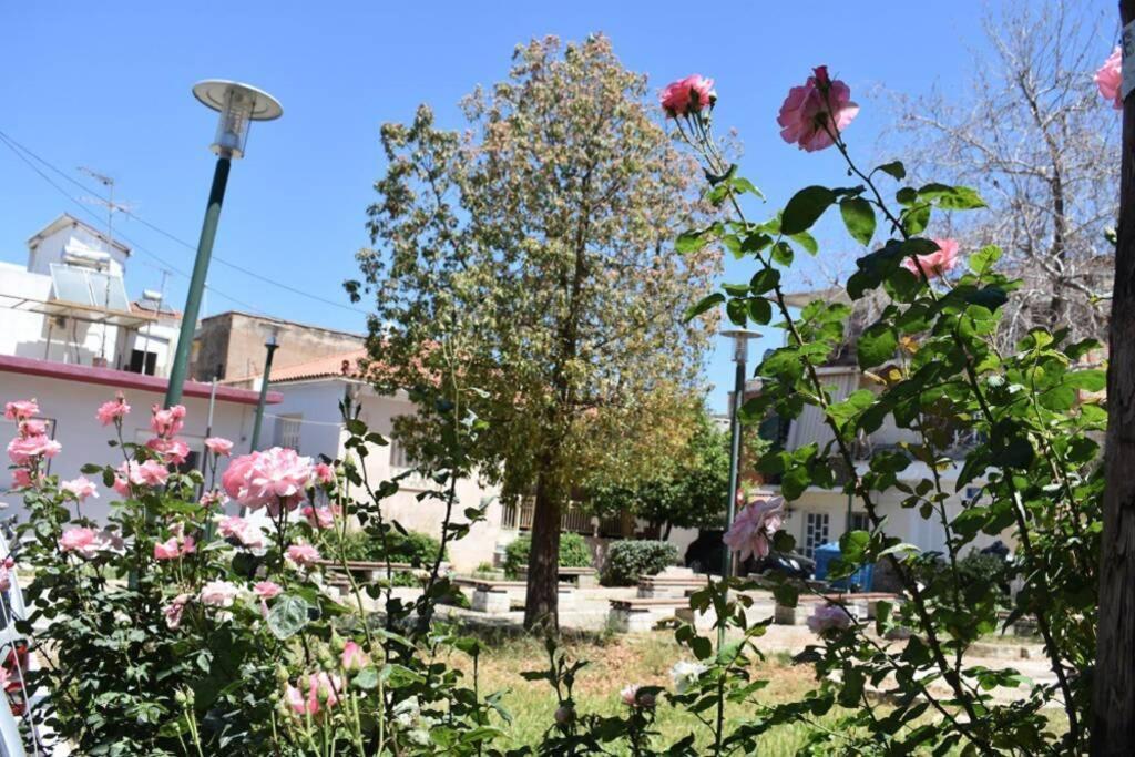"Amelie" - Kalamata Centre Family Apartment المظهر الخارجي الصورة